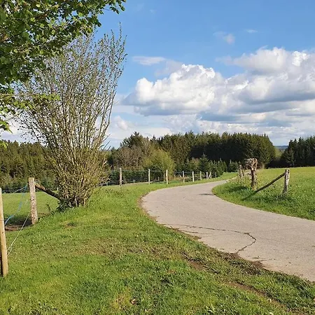 Le Des Oisai