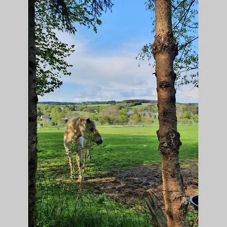 Domek alpejski Le Des Oisai *